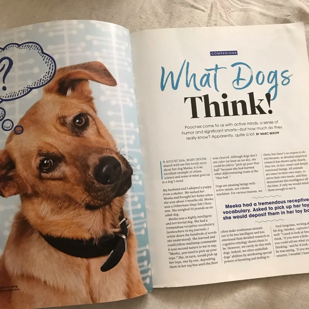 FREE The Ultimate Guide to the Animal Mind - Picture 8 of 10
